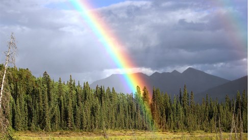A Beracha for Flying Over the Rainbow