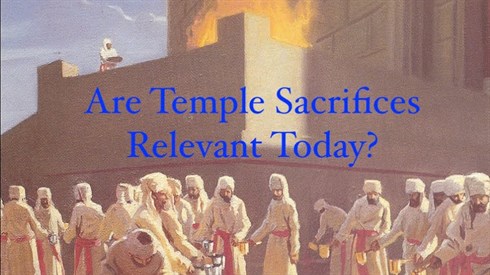 Temple Sacrifices Today!