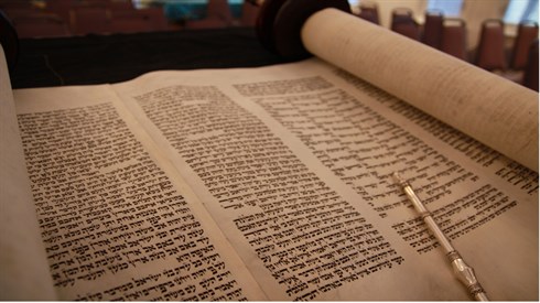 ?Who translated the Torah