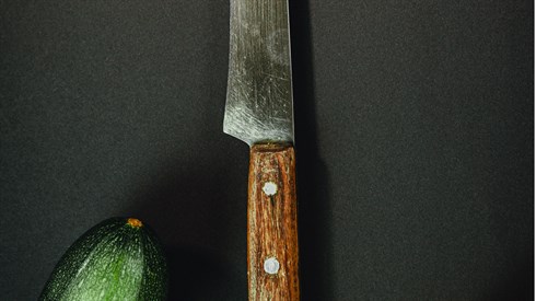 כיצד מכשירים סכינים לפסח?