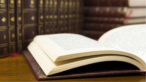  Principles in Learning Gemmarah