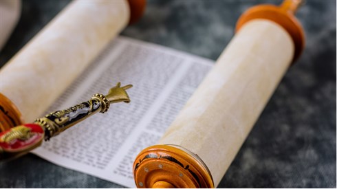 אתר ישיבה / yeshiva.co