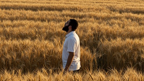 ספירת העומר- לטהרנו מטומאותינו