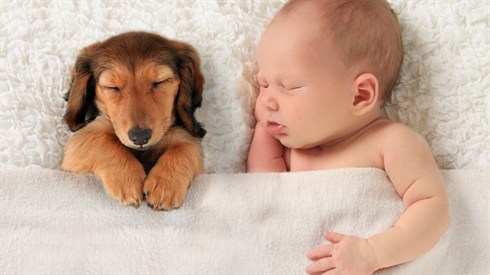Loving All God's Creatures