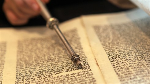 שיחה לפרשת פרה (Shutterstock) שיחה לפרשת פרה