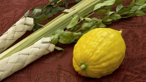 הכל על חג הסוכות (Shutterstock) הכל על חג הסוכות