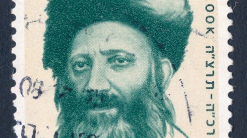 איך מתחילים ללמוד את כתבי הרב? (shutterstock/Arkady Mazor) איך מתחילים ללמוד את כתבי הרב?