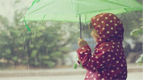 פרשת נח - תפילת הגשם (Shutterstock) פרשת נח - תפילת הגשם