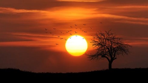 זמני היום זמני היום