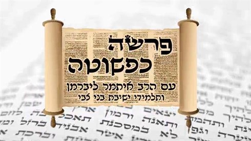 פרשה כפשוטה - פרשת מצורע (אתר ישיבה / yeshiva.co) פרשה כפשוטה - פרשת מצורע