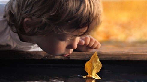 הלכות ברכת הריח (shutterstock/Chepko Danil Vitalevich) הלכות ברכת הריח