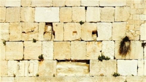 ספר חדש: על מה החגיגה ביום ירושלים? ספר חדש: על מה החגיגה ביום ירושלים?