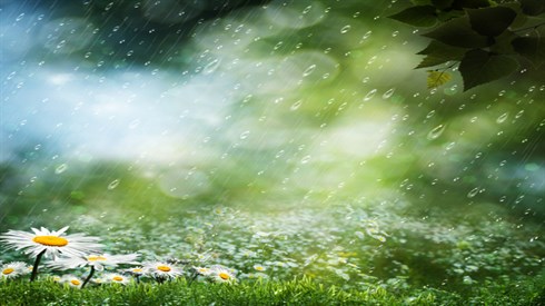 גם כשנשלוט על הגשם נתפלל עליו? (Shutterstock) גם כשנשלוט על הגשם נתפלל עליו?