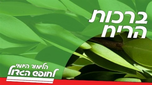 הלכות ברכות הריח