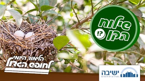 הלכות שילוח הקן הלכות שילוח הקן