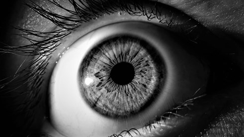 בלי עין הרע (שימוש בתמונה זו נעשה בהתאם לסעיף 27א לחוק זכויות יוצרים. אם הנכם בעלי הזכויות בתמונה זו ומעוניינים שנחדול משימושה או נעדכן קרדיט מתאים, אנא פנו אלינו לכתובת: beitel@yeshiva.org.il) בלי עין הרע