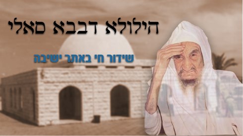 הילולת הבבא סאלי בשידור חי הילולת הבבא סאלי בשידור חי