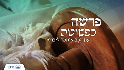 פרשה כפשוטה - פרשת שלח-לך