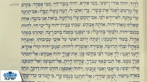 לא מפחדים! לא מפחדים!
