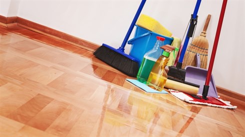 מה מותר לנקות בחול המועד? (Shutterstock) מה מותר לנקות בחול המועד?