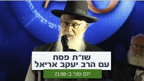 שו"ת לפסח עם הרב יעקב אריאל שו"ת לפסח עם הרב יעקב אריאל