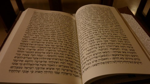 התחלה חדשה (trilli bagus) התחלה חדשה