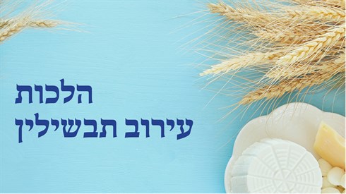 הלכות עירוב תבשילין (אתר ישיבה / yeshiva.co) הלכות עירוב תבשילין