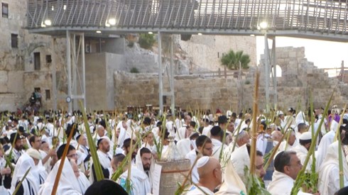 למה מקיפים את הבמה בהושענות?