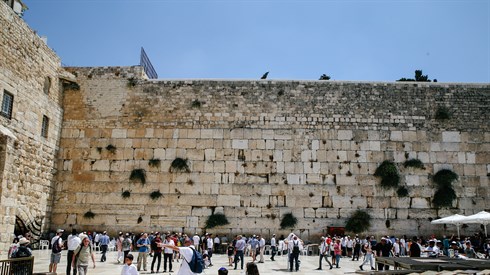 מפגש עם רפורמים מפגש עם רפורמים