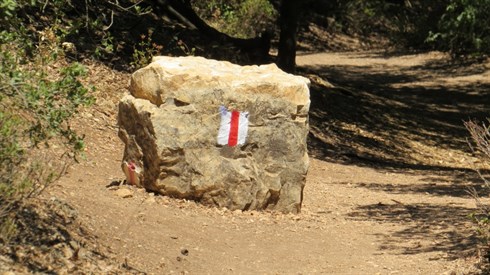 ארבע אמות בארץ ישראל ארבע אמות בארץ ישראל