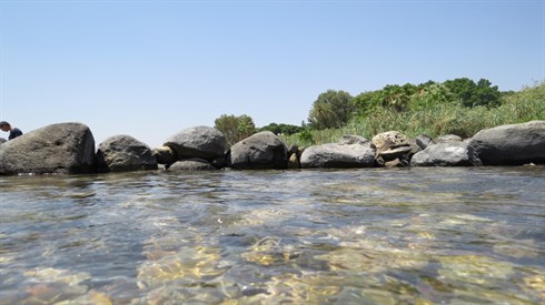 צניעות במים צניעות במים