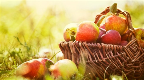אכילת פירות ללא תרומות ומעשרות (Shutterstock) אכילת פירות ללא תרומות ומעשרות