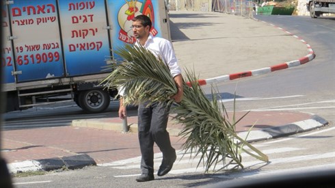 התחלתם כבר לבנות סוכה? 