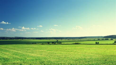 כחה של שירה (Shutterstock) כחה של שירה