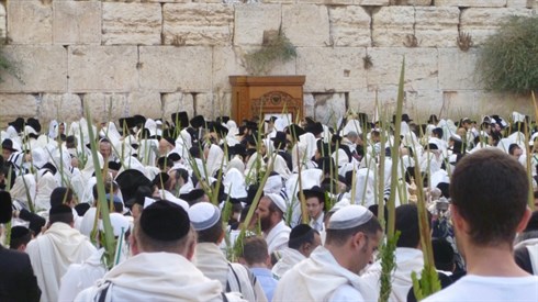 סוכות חג השמחה והמים סוכות חג השמחה והמים