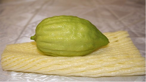 Sukkot stories Sukkot stories