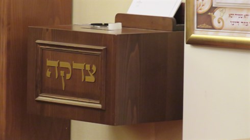 רימו אותי במחצית השקל רימו אותי במחצית השקל