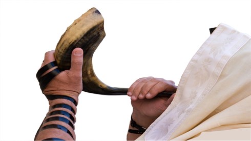 ืืืืจืช ืืกืืืืืช (Shutterstock) ืืืืจืช ืืกืืืืืช