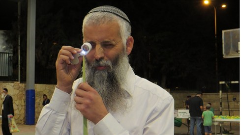 דיני הלולב - שיעור מעשי (אריה מינקוב) דיני הלולב - שיעור מעשי
