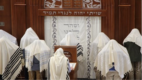 מה היה יחסו של רבינו הרצי"ה לתנועת החסידות? מה היה יחסו של רבינו הרצי"ה לתנועת החסידות?
