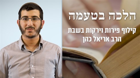קילוף פירות וירקות בשבת | הלכה בטעמה - הרב אריאל כהן קילוף פירות וירקות בשבת | הלכה בטעמה - הרב אריאל כהן
