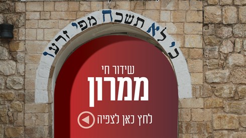 שידור חי מהילולא המרכזית במירון תשפ"ג (2023 למניינם) שידור חי מהילולא המרכזית במירון תשפ"ג (2023 למניינם)