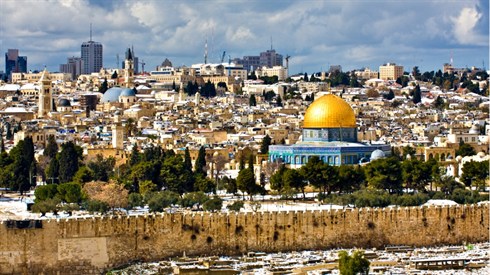 שועלים מהלכים בו (Shutterstock) שועלים מהלכים בו