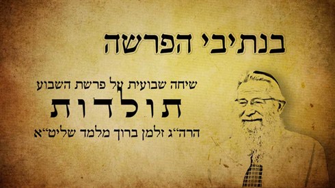 בנתיבי הפרשה - תולדות