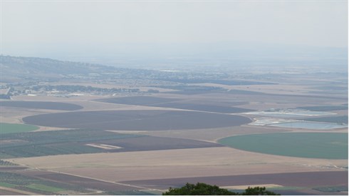 Tu B'Shvat - The Power of Longing Tu B'Shvat - The Power of Longing