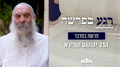 למה יש כיסויים מיוחדים למשכן בזמן מסעות בני ישראל? למה יש כיסויים מיוחדים למשכן בזמן מסעות בני ישראל?