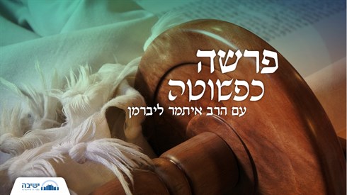 פרשה כפשוטה - פרשת נשא פרשה כפשוטה - פרשת נשא
