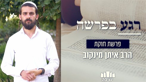 רגע בפרשה - פרשת חוקת רגע בפרשה - פרשת חוקת