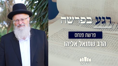רגע בפרשה - פרשת פנחס רגע בפרשה - פרשת פנחס