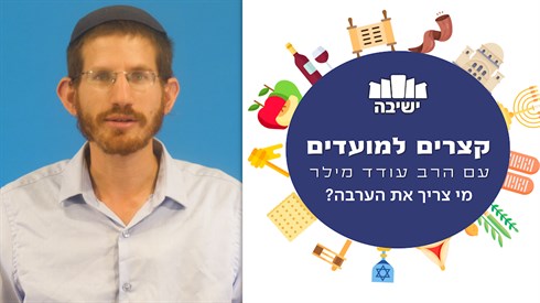 מי צריך את הערבה? מי צריך את הערבה?